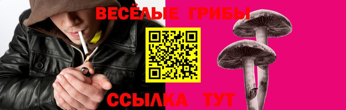 Псилоцибиновые грибы мухоморы Красный Сулин
